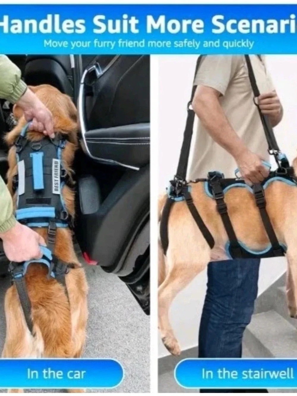 Blue Dog Lift Harness - Supportive Mobility Assist